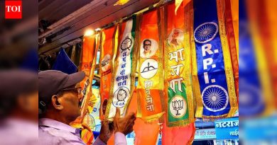 महाराष्ट्र स्थानिक स्वराज्य संस्था निवडणुकीच्या पहिल्या टप्प्यात महायुतीची आघाडी मजबूत, भाजप नगरसेवकांचा वाटा सर्वाधिक आहे