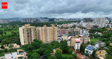 महाळुंगे-मान शहर योजना अद्याप अंतिम मंजुरीच्या प्रतीक्षेत: पीएमआरडीए