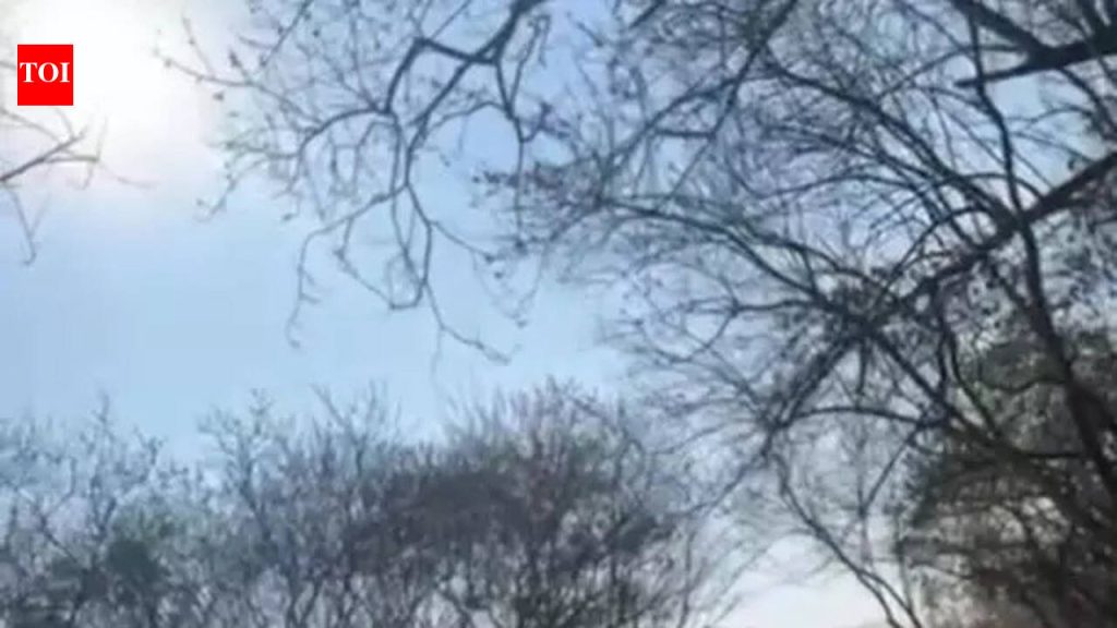 पुनावळे ‘ऑक्सिजन पार्क’चे काम सुरू, कचरा प्रकल्प भंगार