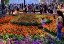 वार्षिक एम्प्रेस गार्डन फ्लॉवर शो क्युरेटेड डिस्प्ले आणि हॉर्टिकल्चर स्टॉलसह परत येतो