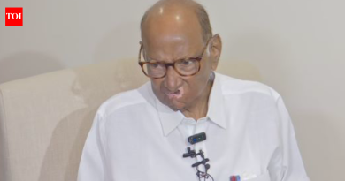 ‘सुनेत्रासाठी आनंदी’: शरद पवारांनी तिला महाराष्ट्राच्या उपमुख्यमंत्रीपदी बढती देण्याचे समर्थन केले, राष्ट्रवादी काँग्रेसच्या विलीनीकरणावर देवेंद्र फडणवीस यांची टीका