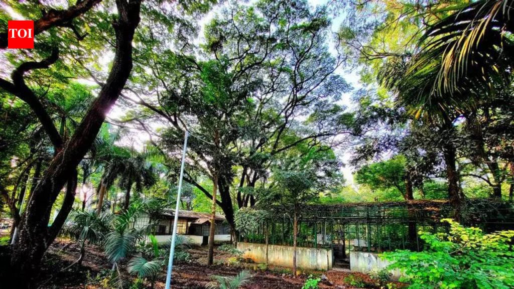 मुंढवा जमीन व्यवहार: सत्र न्यायालयाने मुद्रांक शुल्क माफी प्रकरणात पीओए-धारक तेजवानी आणि सब रजिस्ट्रार तारू यांच्या जामीन याचिका फेटाळल्या