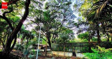 मुंढवा जमीन व्यवहार: सत्र न्यायालयाने मुद्रांक शुल्क माफी प्रकरणात पीओए-धारक तेजवानी आणि सब रजिस्ट्रार तारू यांच्या जामीन याचिका फेटाळल्या