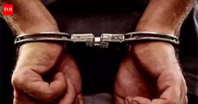 काळेवाडी फाटा येथे सहा वाहनांना धडक देणारा मिनी ट्रक अल्पवयीन पुतण्याला चालवणाऱ्या महिलेला अटक