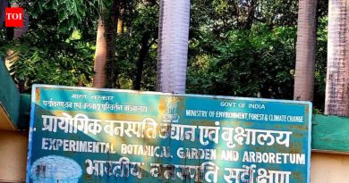 मुंढवा जमीन व्यवहार: अमेडियाच्या अपिलाची पुढील सुनावणी ६ एप्रिलला