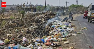 विधानसभेच्या अधिवेशनात पुण्यातील अकार्यक्षम कचरा व्यवस्थापन, भटक्या कुत्र्यांची संख्या नियंत्रण यावर आमदारांनी आवाज उठवला