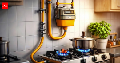 महाराष्ट्र सहकार विभाग सर्व रहिवाशांना PNG मध्ये स्विच करण्यासाठी 6k सोसायट्यांना पुढे ढकलणार आहे