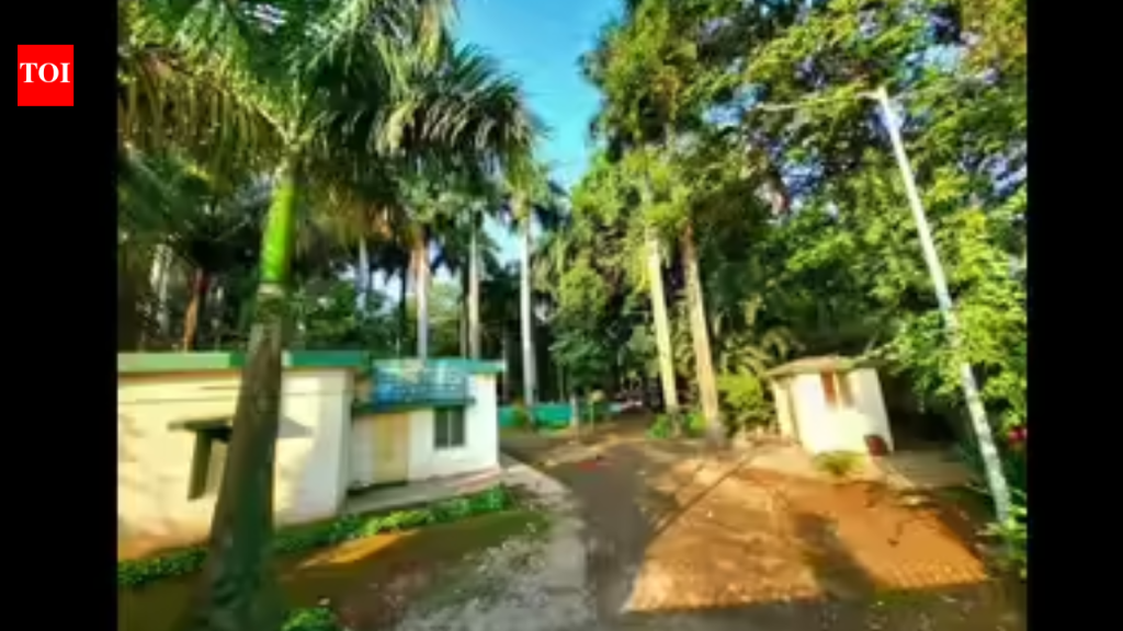 मुंढवा चूक टाळण्यासाठी पद्धतशीर सुधारणांचे पॅनेल