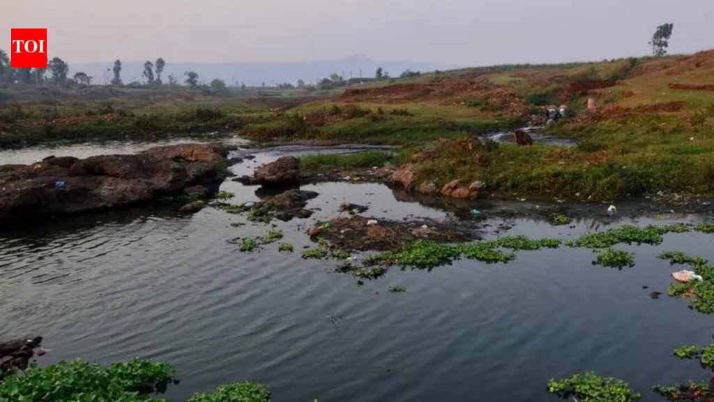 हिरण्यकेशी नदीला मोलॅसिसने प्रदूषित केल्याबद्दल एनजीटीने कोल्हापूर साखर कारखान्याला ५० लाख रुपये नुकसान भरपाई देण्यास सांगितले.