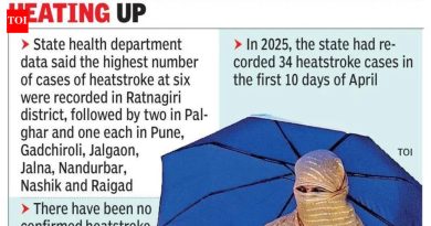 1 मार्चपासून राज्यात उष्माघाताचे 15 रुग्ण