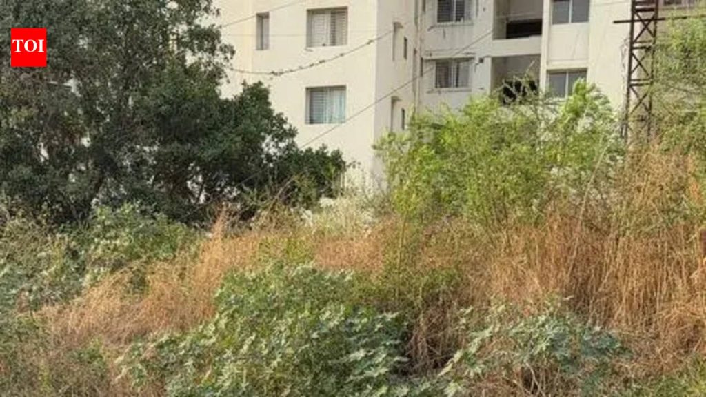 महापालिकेच्या महापौरांनी नद्या प्रदूषित करणाऱ्या गृहनिर्माण सोसायट्यांची यादी ७ दिवसांत मागवली, अधिकाऱ्यांना अशा रहिवासी संकुलांवर कठोर कारवाई करण्यास सांगितले