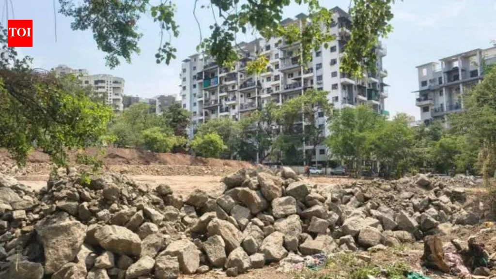 शहरी जैवविविधतेला चालना देण्यासाठी NIBM रोड परिसरात मियावाकी जंगलाची योजना केली आहे