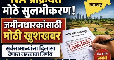जमीनधारकांसाठी मोठी खुशखबर; NA प्रक्रियेत राज्य सरकारचा मोठा बदल