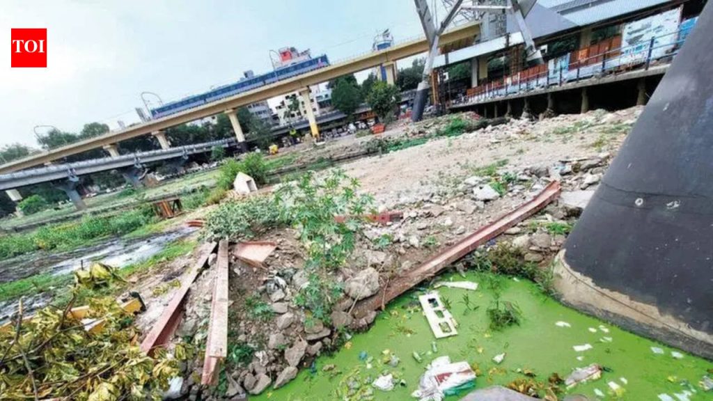 तापमान वाढीमुळे अनेक भागात डासांची समस्या उद्भवते, रहिवाशांना नियमित फवारणी आणि चांगली स्वच्छता हवी असते