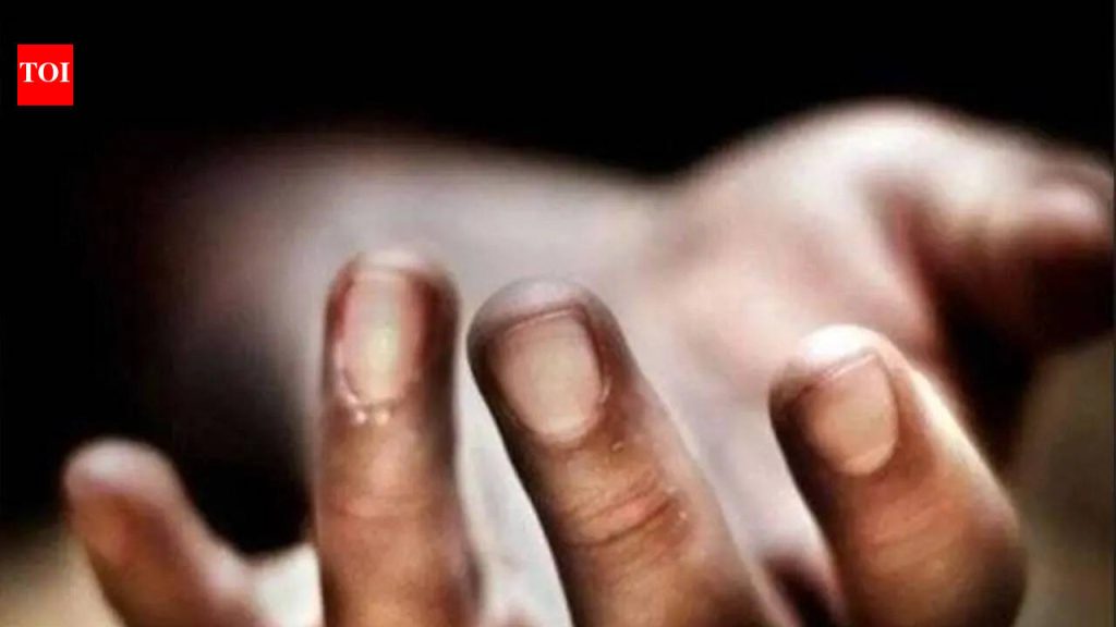 रावेत पुलाच्या मध्यभागी एसयूव्ही अचानक उलटल्याने 10 वर्षीय मुलीचा मृत्यू झाला