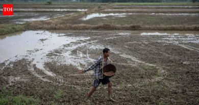 कृषी मंत्रालयाने काळ्या मार्केटिंगवर आळा घालण्यासाठी ऑनलाइन खत बुकिंगसाठी मोबाइल ॲप सादर केले पुणे बातम्या