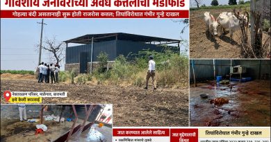 गोरक्षक आणि पोलिसांच्या संयुक्त कारवाईत गोवंशीय जनावरांच्या अवैध कत्तलीचा भंडाफोड